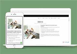 网页设计优化机构响应式网页模板 - 简单网创项目资源网