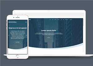 企业业务案例展示响应式网页模板下载 - 简单网创项目资源网