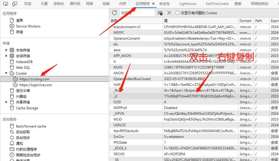 图片[10] - go语言新必应New Bingai聊天机器人 - 简单网创项目资源网