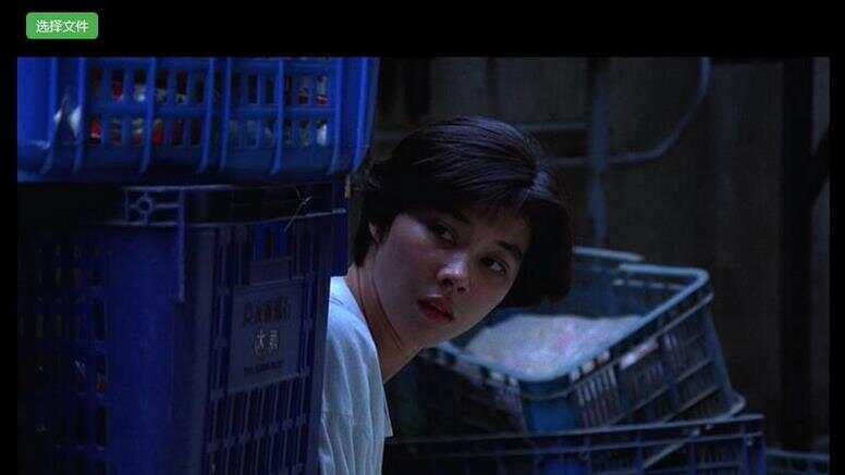 H5视频播放器源码_支持本地选择视频播放，带截图功能 - 简单网创项目资源网