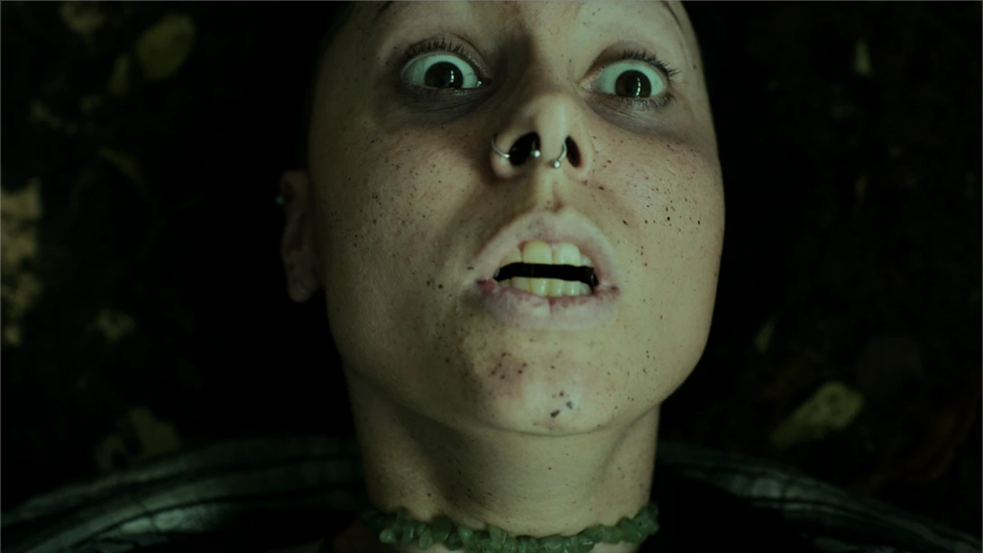 【美版】幽林深处 .Heart of the Forest 英语