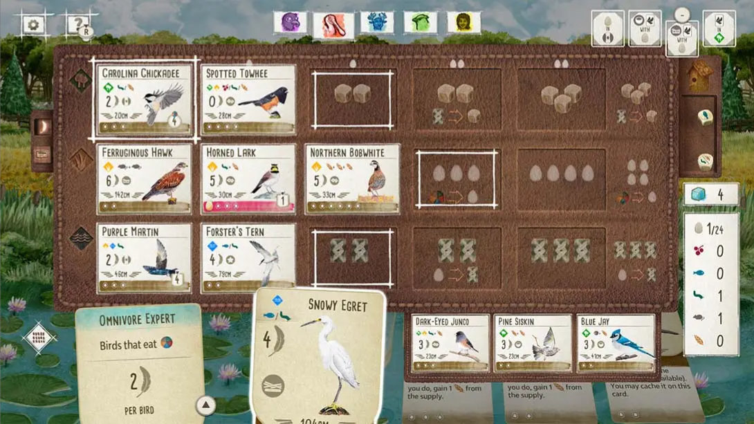 【美版】展翅翱翔 Wingspan 中文