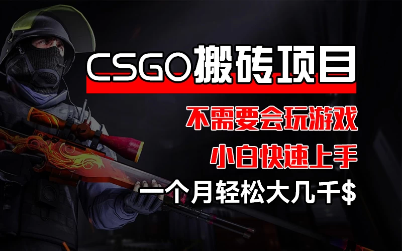 CSGO 装备搬砖项目，操作简单，不需要会玩游戏，小白也能快速上手，一个月轻松大几千 - 简单网创项目资源网