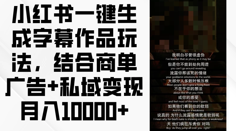 小红书一键生成字幕作品玩法，结合商单广告+私域变现月入10000+ - 简单网创项目资源网