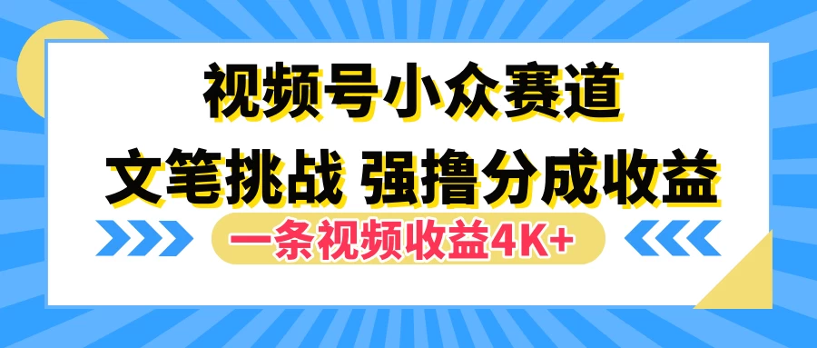 视频号小众赛道，文笔挑战，一条视频收益4K+ - 简单网创项目资源网