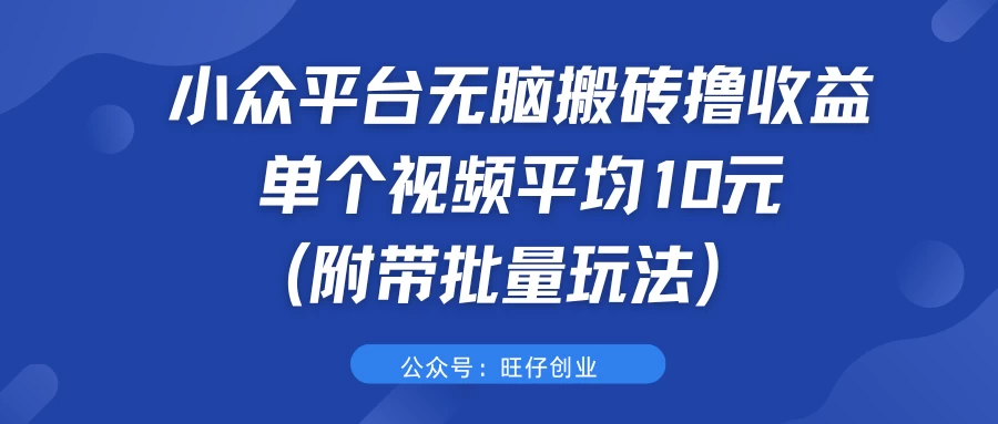 小众平台无脑搬砖撸收益，单个视频平均10元 (附带批量玩法） - 简单网创项目资源网