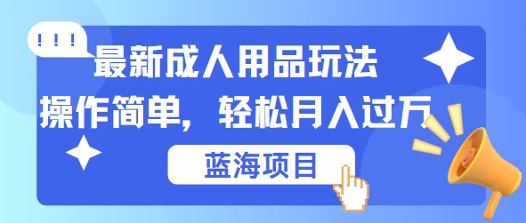 最新成人用品项目玩法，操作简单，蓝海项目轻松月入过万 - 简单网创项目资源网