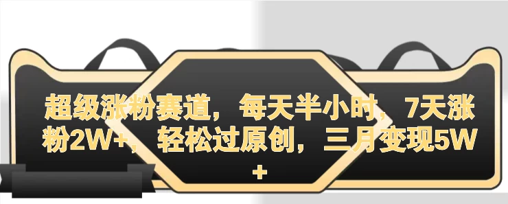 超级涨粉赛道，每天半小时，7天涨粉2W+，轻松过原创，三月变现5W+ - 简单网创项目资源网