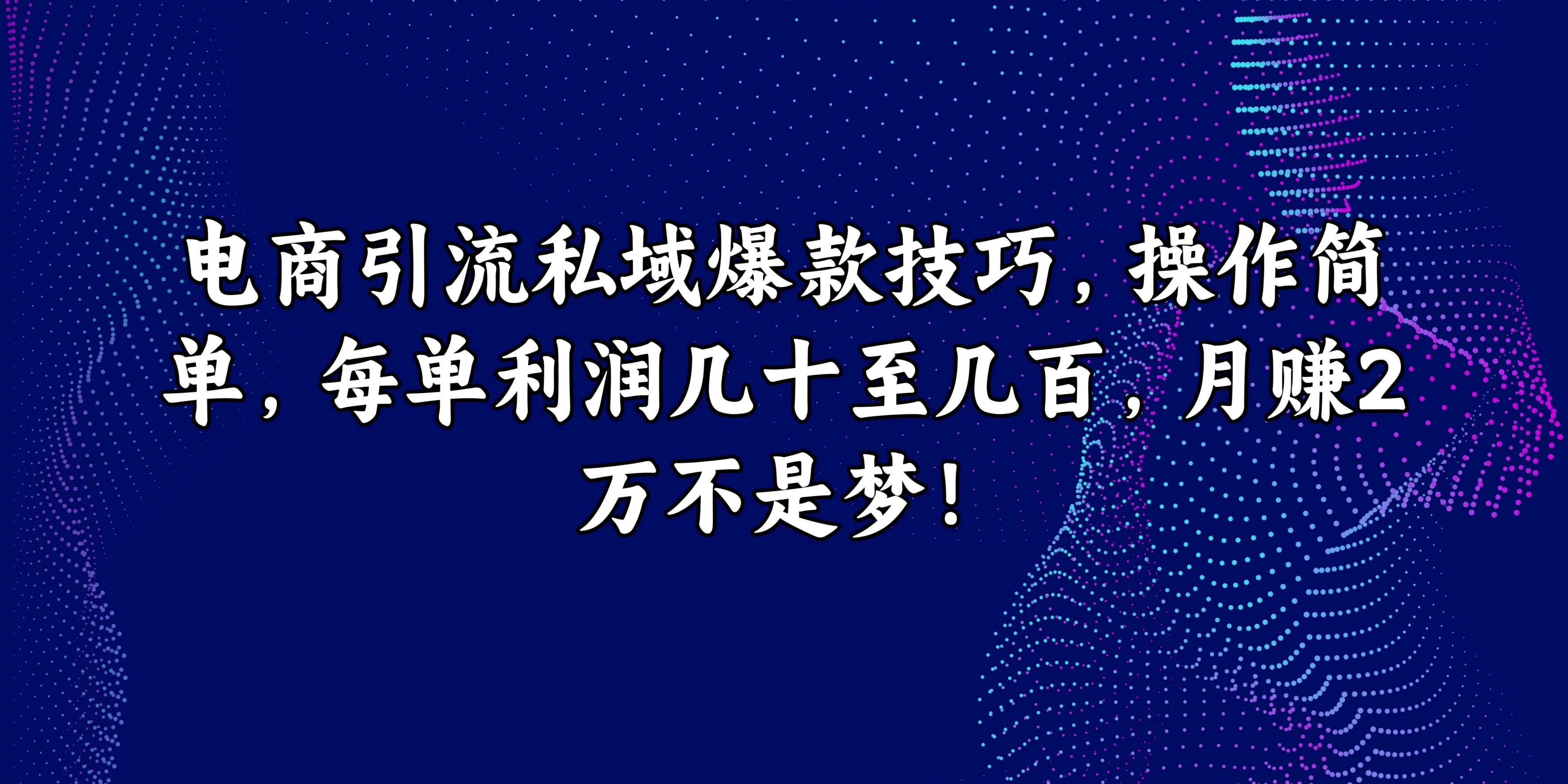 电商引流私域爆款技巧，操作简单，每单利润几十至几百，月赚2万不是梦！ - 简单网创项目资源网