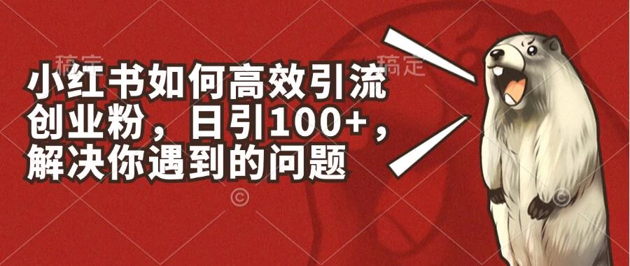 小红书如何高效引流创业粉，日引100+，解决你遇到的问题 - 简单网创项目资源网