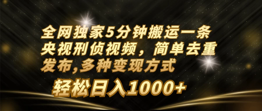 全网独家5分钟搬运一条央视刑侦视频，简单去重发布，多种变现方式，轻松日入1000+ - 简单网创项目资源网