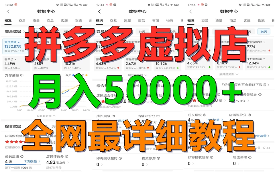 拼多多虚拟电商月入50000+你干你也行，暴利稳定长久，副业首选 - 简单网创项目资源网