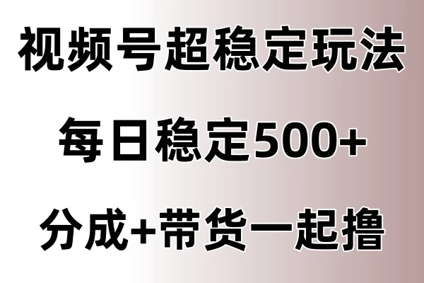 视频号超稳定赛道，长久不衰，单日稳定500+ - 简单网创项目资源网