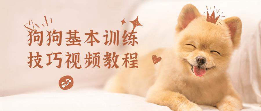 狗狗基本训练技巧视频教程 - 简单网创项目资源网