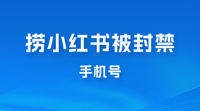 捞小红书被封禁手机号，小红书被封号禁言账号手机换绑 - 简单网创项目资源网