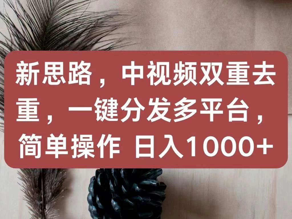 新思路，中视频双重去重，一键分发多平台，简单操作，日入1000+！快来试试吧！ - 简单网创项目资源网