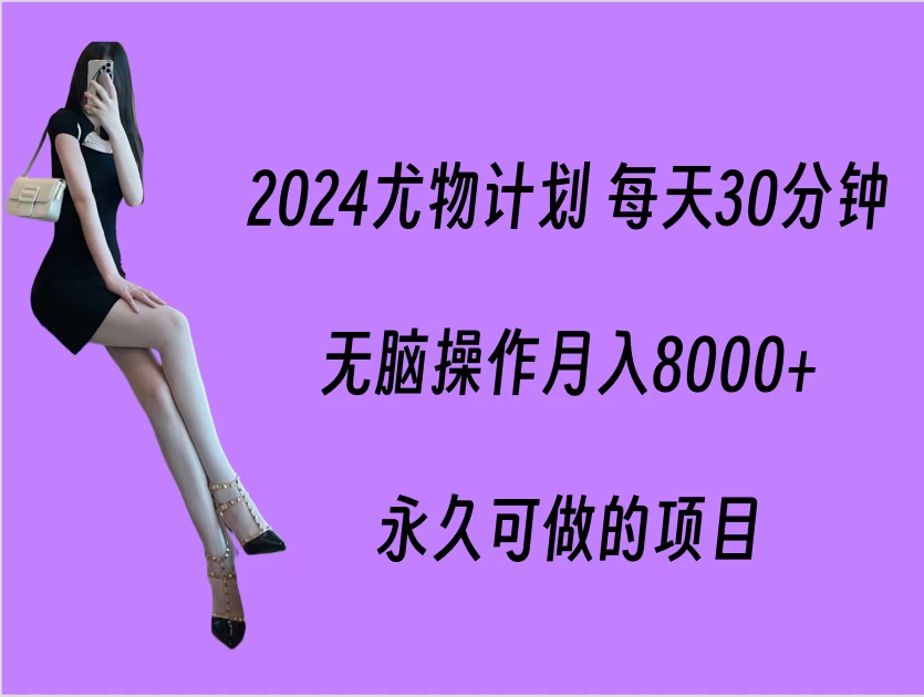 2024尤物计划 每天30分钟，无脑操作月入8000+，永久可做的项目 - 简单网创项目资源网