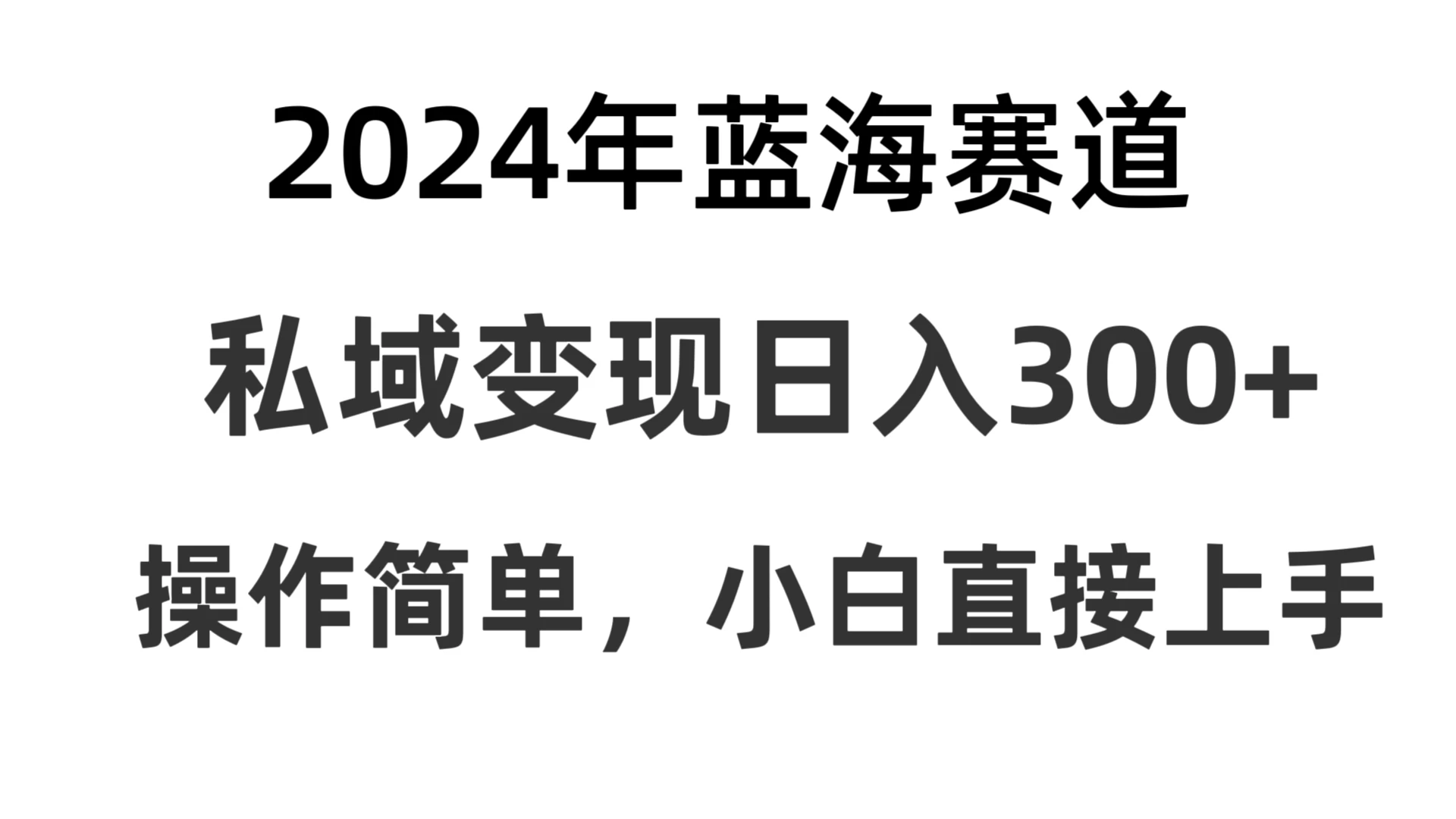 2024抖音蓝海赛道,私域变现日入300+,操作简单,每年只需一小时,纯小白可直接上手 - 简单网创项目资源网