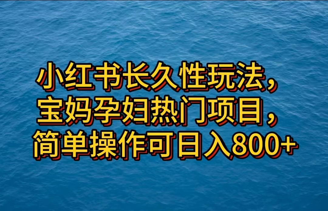 小红书长久性玩法，宝妈孕妇热门项目，简单操作可日入800+ - 简单网创项目资源网