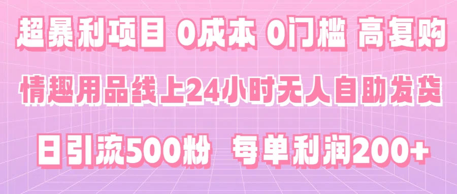 超暴利项目,情趣用品线上24小时-无人自助发货,0成本,0门槛,高复购,有手就能做,日引500粉,每单利润200+ - 简单网创项目资源网