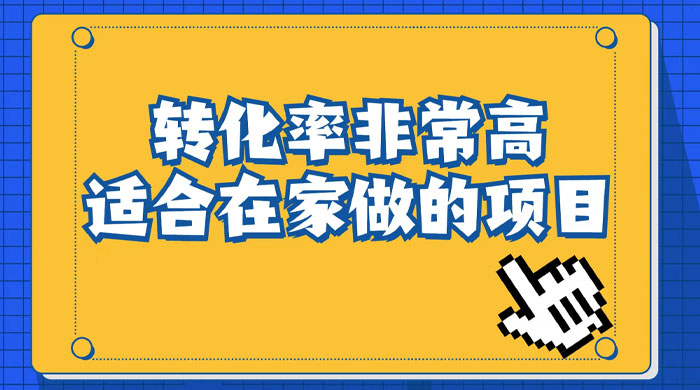 小红书虚拟电商项目:从小白到精英(视频课程+交付手册) - 简单网创项目资源网