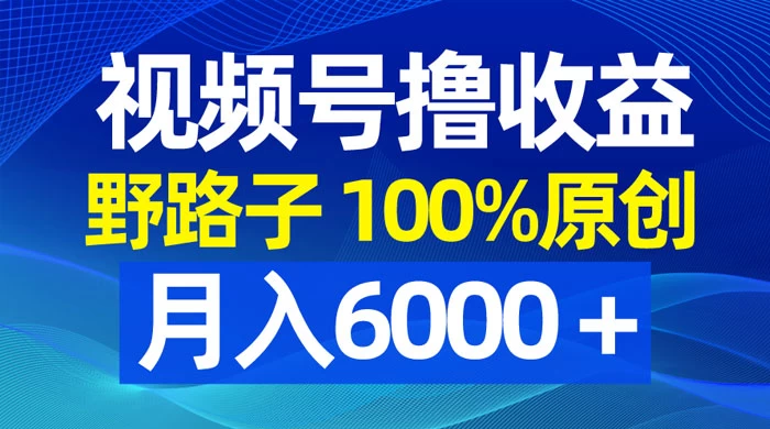 视频号野路子撸收益，100% 原创，条条爆款，月入 6000+ - 简单网创项目资源网
