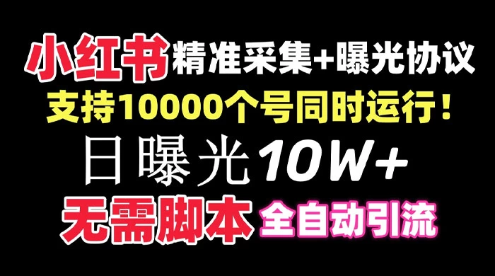 价值 10 万的小红书全自动采集+引流协议一体版！无需手机，支持 10000 个账号同时运行 - 简单网创项目资源网
