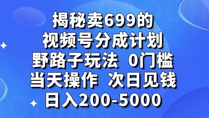 揭秘卖 699 的视频号分成计划野路子玩法，日入 200-5000，0 门槛，当天操作，次日见钱 - 简单网创项目资源网
