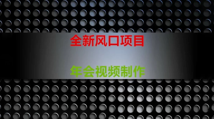 年会视频制作项目，全新风口 - 简单网创项目资源网