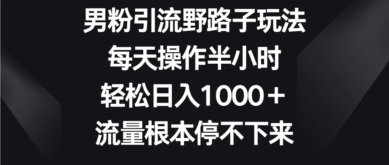 男粉引流野路子玩法，每天操作半小时轻松日入1000＋，流量根本停不下来 - 简单网创项目资源网