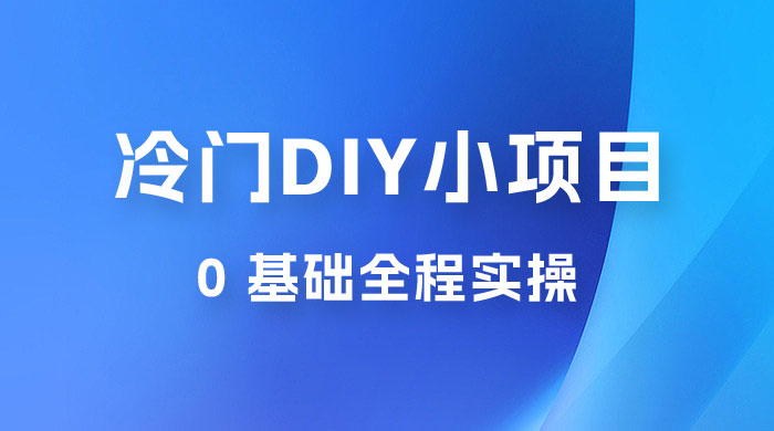 日入几百的冷门 DIY 小项目 0 基础全程实操 日入几百的冷门 DIY 小项目 0 基础全程实操