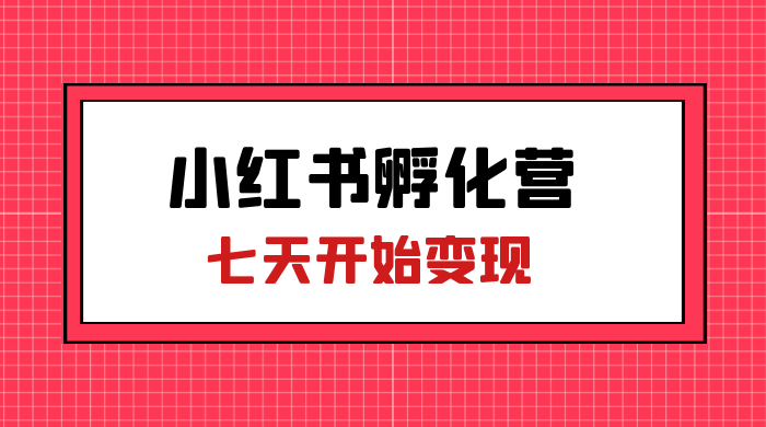 价值 2000+ 的小红书孵化营项目，超级大蓝海，七天即可开始变现，稳定月入 1W+ - 简单网创项目资源网