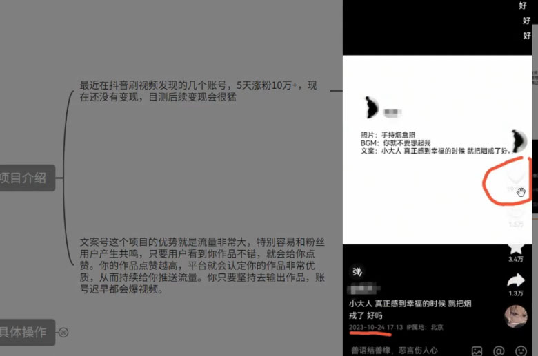 图片[2] - 最新抖音暴力文案号，五天涨粉 10w+，喂饭级拆解教学 - 简单网创项目资源网