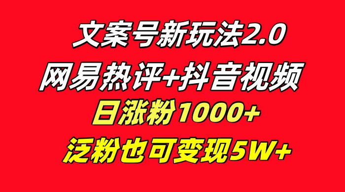 文案号新玩法，网易热评+抖音文案 一周轻松涨粉 5W+ 多种变现模式 - 简单网创项目资源网