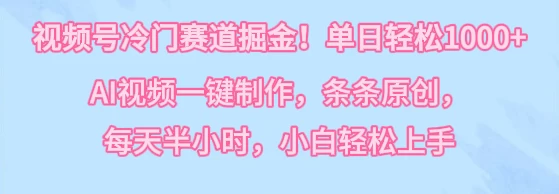 视频号冷门赛道掘金！单日轻松1000+，AI视频一键制作，条条原创，每天半小时，小白轻松上手 - 简单网创项目资源网