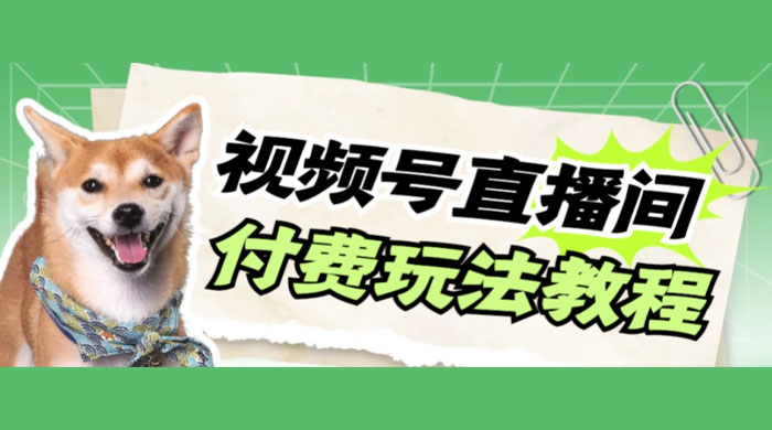 视频号美女付费无人直播，轻松日入500+（详细玩法教程） - 简单网创项目资源网