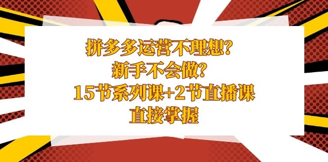 拼多多运营不理想？新手不会做？​15 节系列课+ 2 节直播课，直接掌握 - 简单网创项目资源网