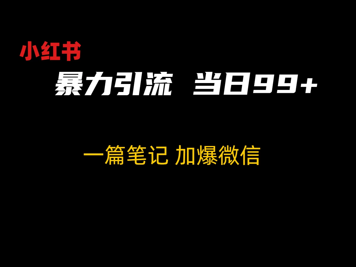 小红书暴力引流方法，当日99+，非常简单的引流方法 - 简单网创项目资源网