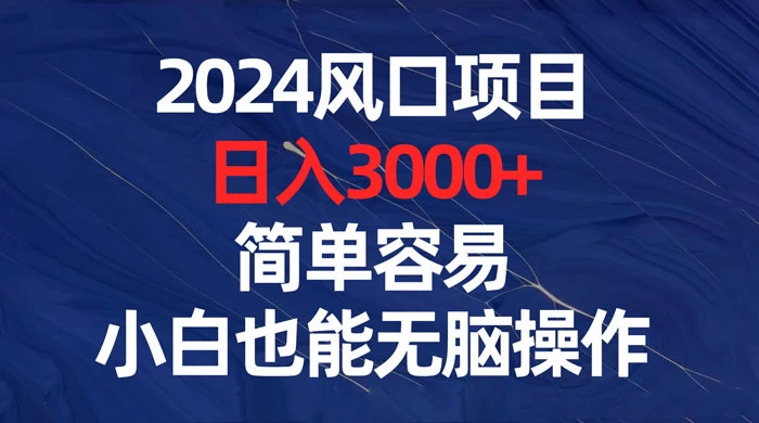 2024 风口项目，日入 3000+，简单容易，小白也能无脑操作 - 简单网创项目资源网