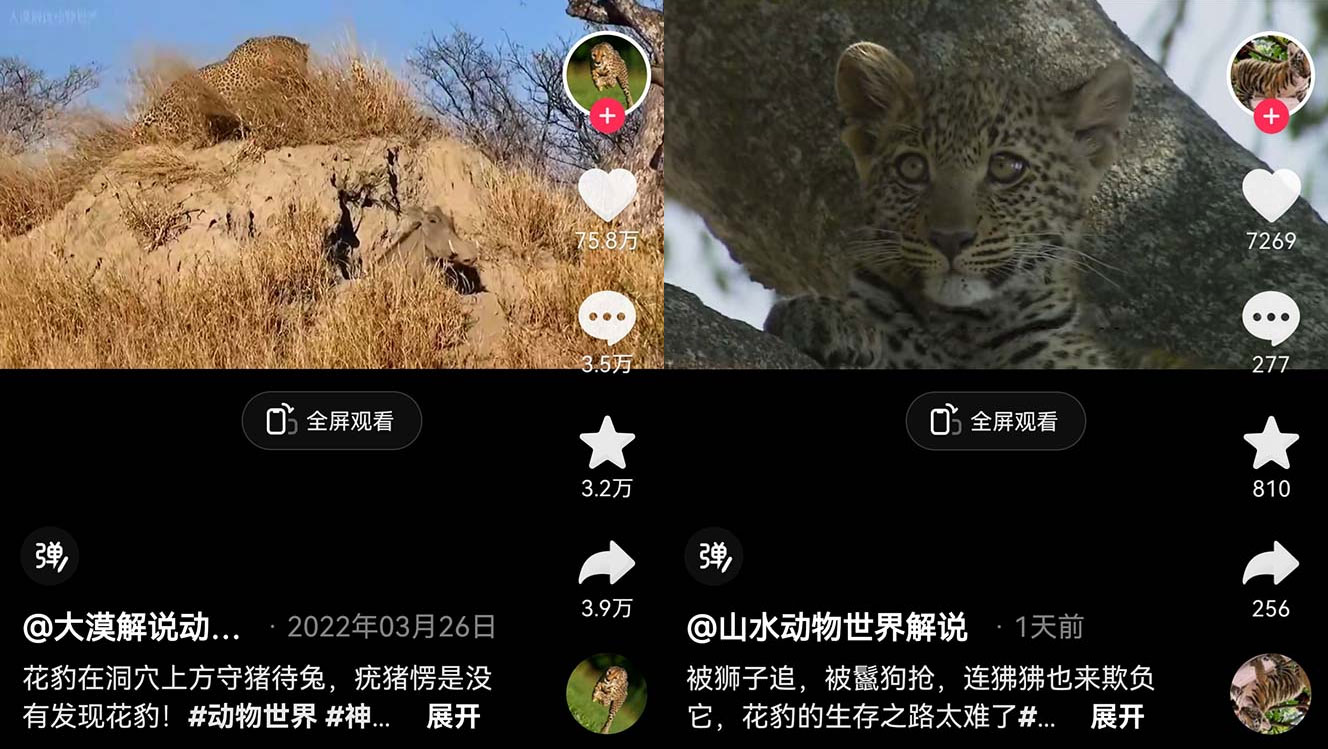 外面卖 1699 的国外纪录片解说:动物、美食、动画片解说,稳过中视频 外面卖 1699 的国外纪录片解说:动物、美食、动画片解说,稳过中视频