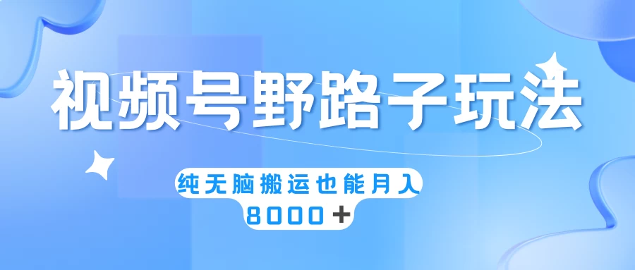 视频号野路子玩法，纯无脑搬运小白可做，月入8000+ - 简单网创项目资源网