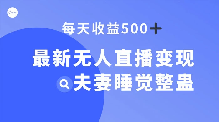 最新无人直播变现,夫妻睡觉整蛊,每天躺赚 500+ - 简单网创项目资源网