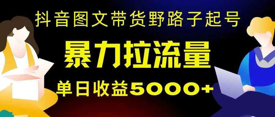 抖音图文带货暴力起号，单日收益 5000+，野路子玩法，简单易上手，一部手机即可 - 简单网创项目资源网