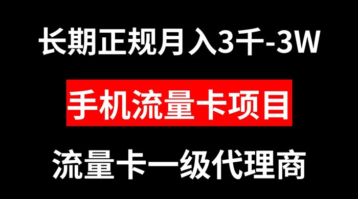 手机流量卡代理月入 3000-3w 长期正规项目 - 简单网创项目资源网