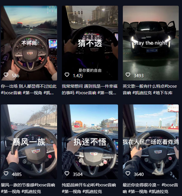 图片[2] - 抖音开车视频项目：0基础操作，每天五分钟，月入过万 - 简单网创项目资源网