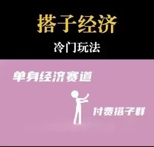 靠搭子经济月入5万每天两小时简单无脑好上手 - 简单网创项目资源网