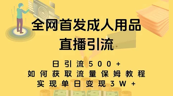 成人用品直播引流获客暴力玩法，单日引流500+，变现 3w+，保姆级教程 - 简单网创项目资源网