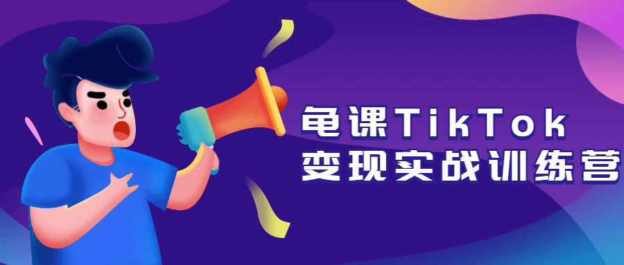 龟课TikTok变现实战训练营 - 简单网创项目资源网