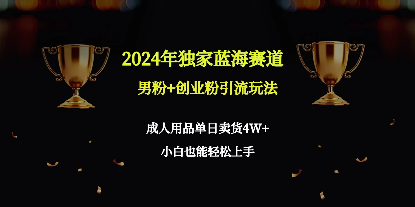 2024独家蓝海赛道,男粉+创业粉引流玩法。 - 简单网创项目资源网