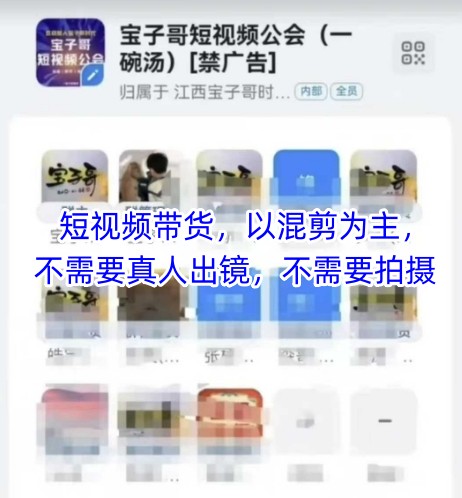 宝子哥头部团队短视频带货，以混剪为主，不需要真人出镜，不需要拍摄【更新26年1月】 - 简单网创项目资源网